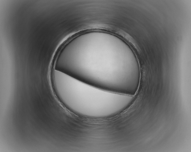 X0000113581024200909181015