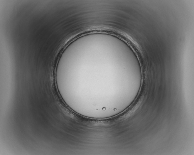 X0000113581025200909181015