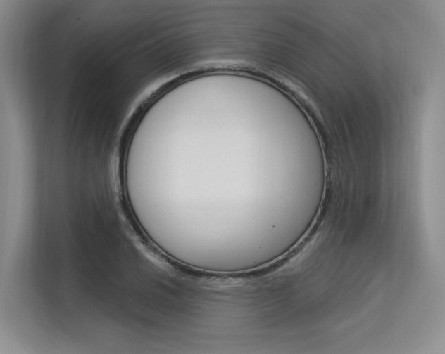 X0000113581030200909181015