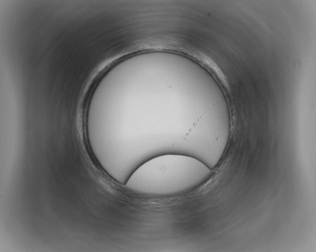 X0000113581035200909181015