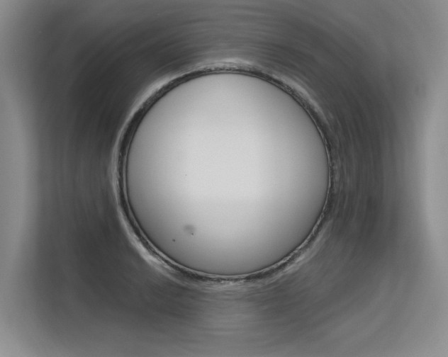 X0000113581038200909181015