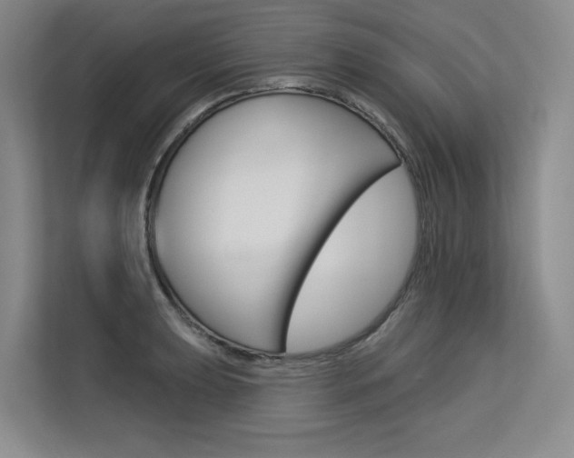 X0000113581039200909181015