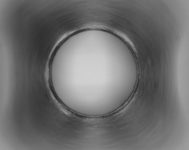 X0000113581040200909181015