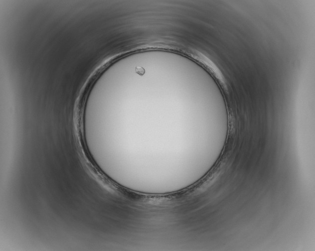 X0000113581043200909181015