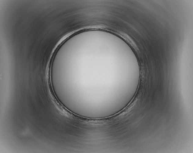 X0000113581044200909181016