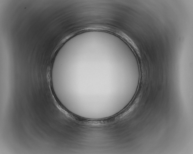 X0000113581049200909181016