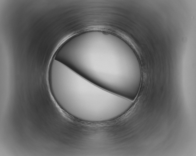X0000113581050200909181016