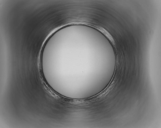 X0000113581052200909181016