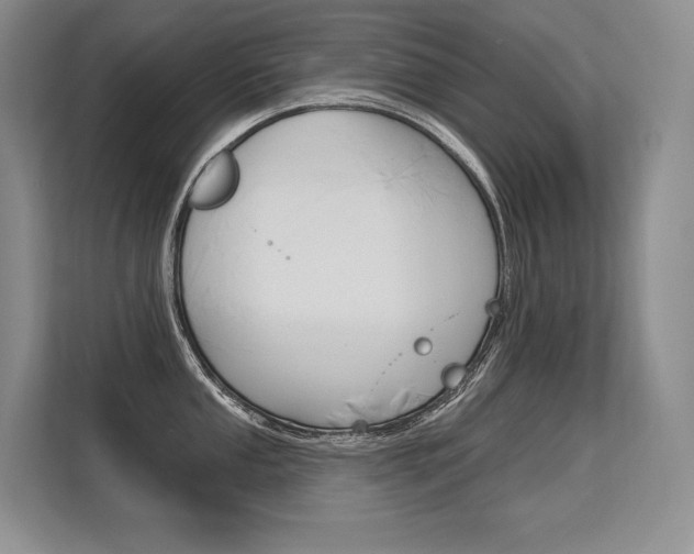 X0000113581053200909181016