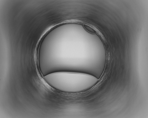X0000113581054200909181016