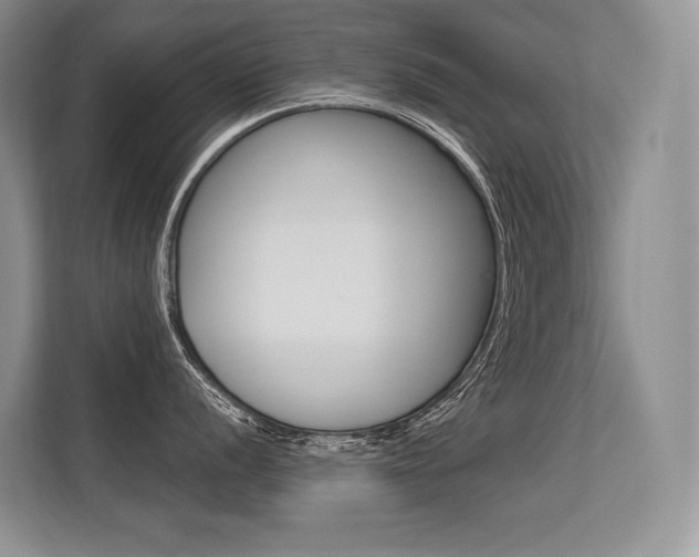 X0000113581056200909181016