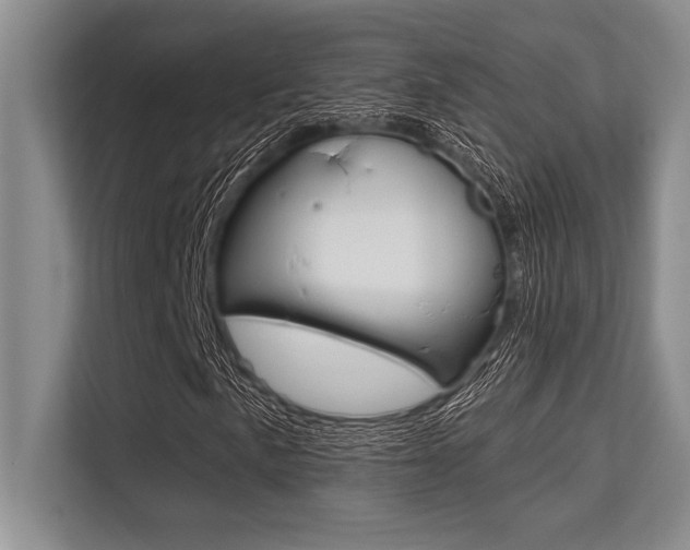 X0000113581057200909181015