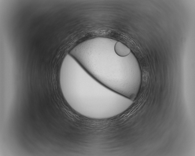 X0000113581058200909181015