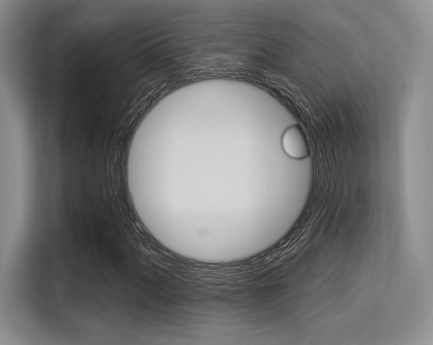 X0000113581060200909181015