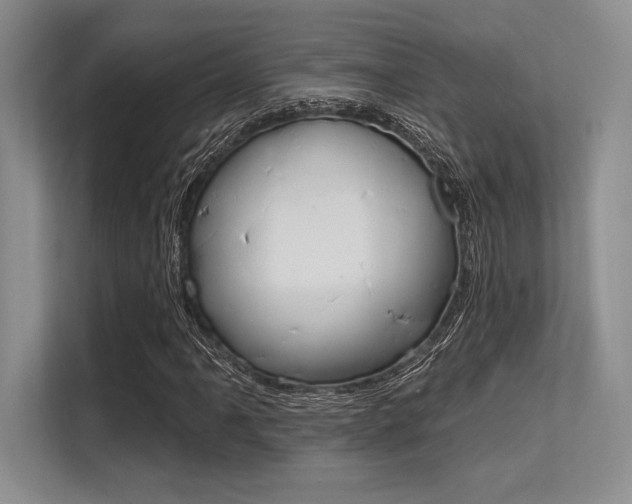 X0000113581061200909181015
