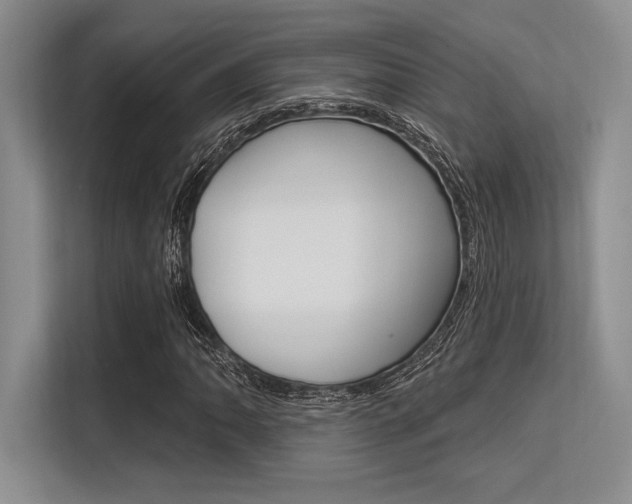 X0000113581062200909181015