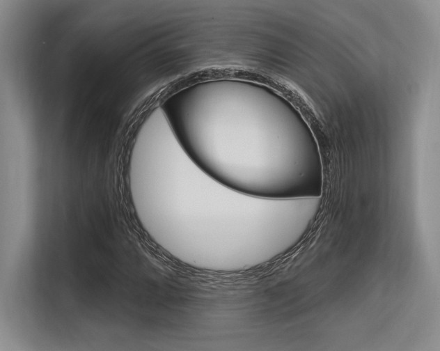 X0000113581064200909181015