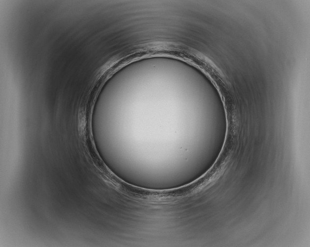 X0000113581065200909181015