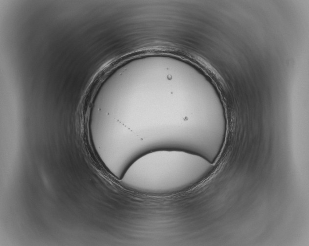 X0000113581067200909181015