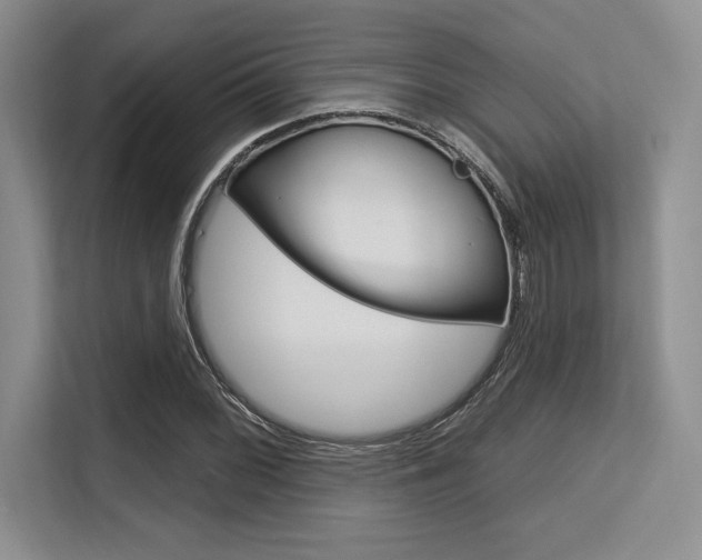 X0000113581068200909181015