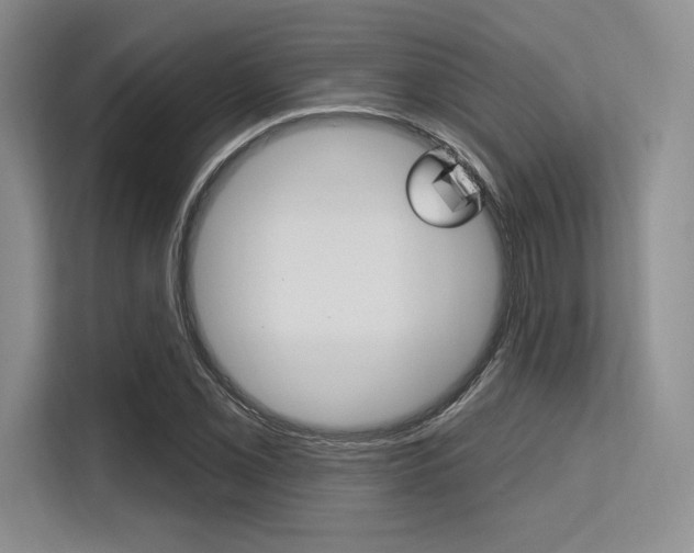 X0000113581069200909181015