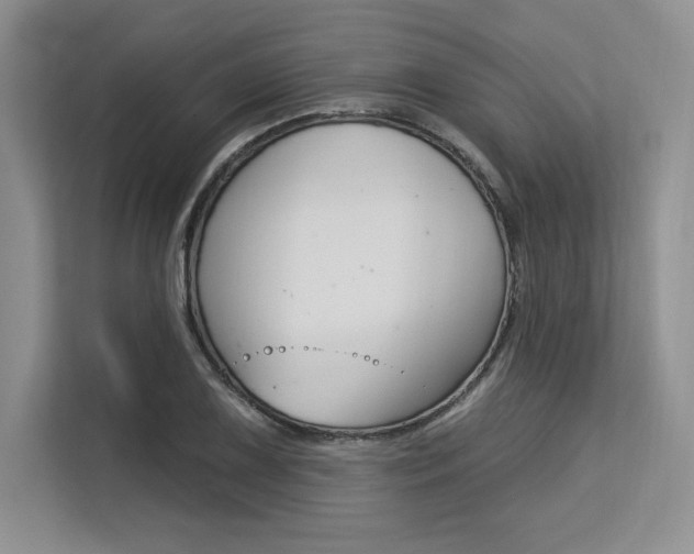 X0000113581075200909181015
