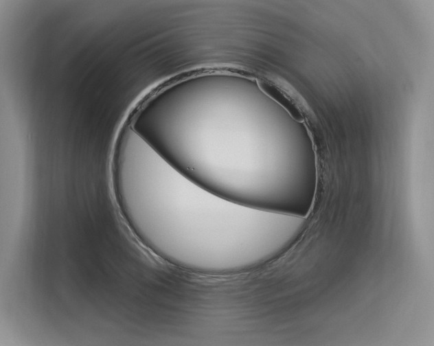 X0000113581076200909181015