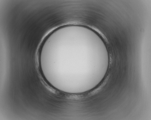 X0000113581078200909181015