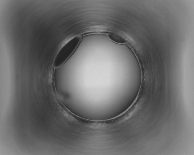 X0000113581081200909181015