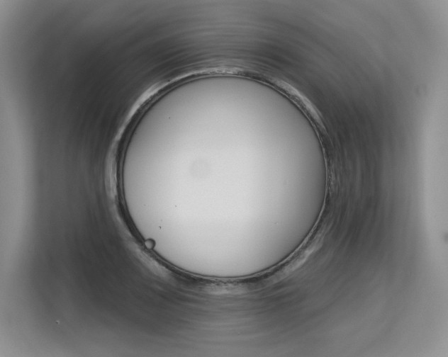 X0000113581083200909181015