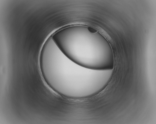 X0000113581084200909181015