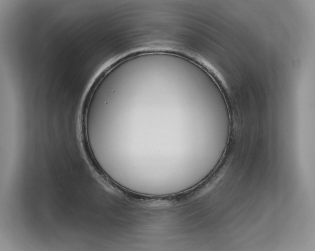 X0000113581085200909181015