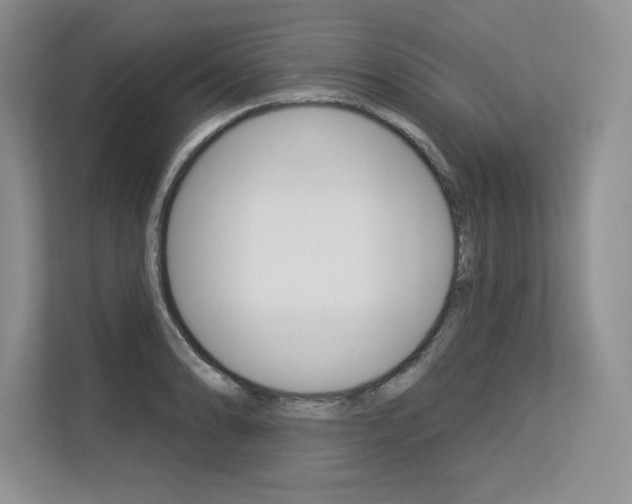 X0000113581086200909181015