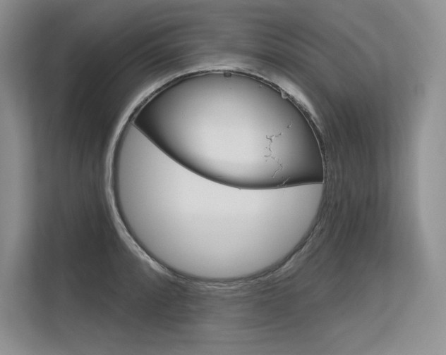 X0000113581088200909181015