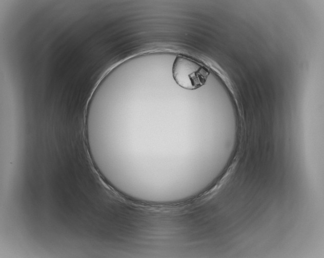 X0000113581089200909181015