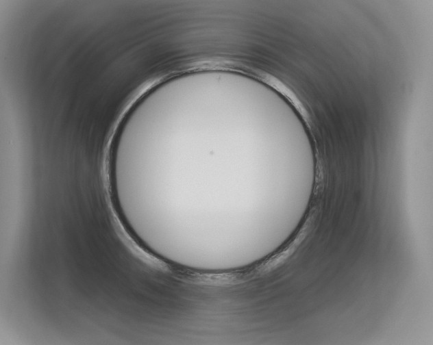 X0000113581090200909181015