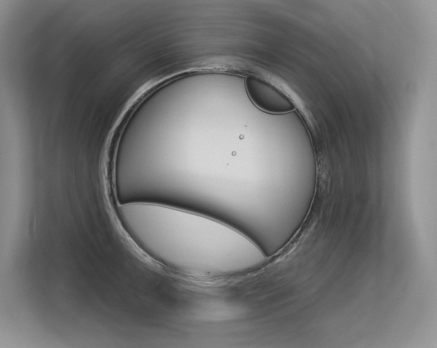 X0000113581091200909181015