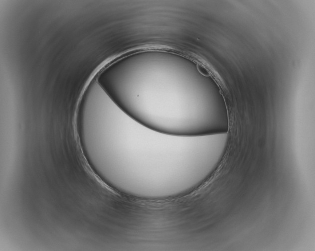 X0000113581092200909181015