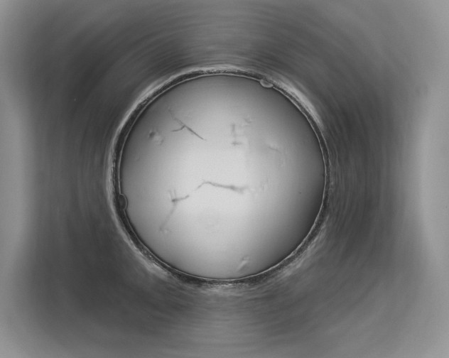 X0000113581093200909181015