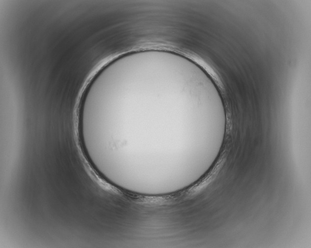 X0000113581094200909181015