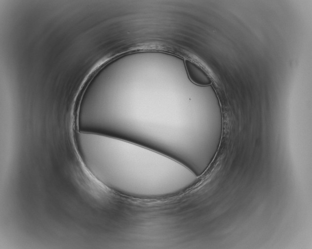 X0000113581095200909181015