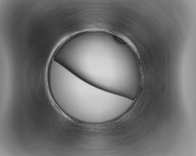 X0000113581096200909181015