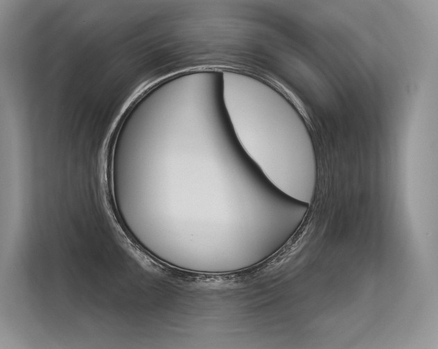 X0000113581099200909181014