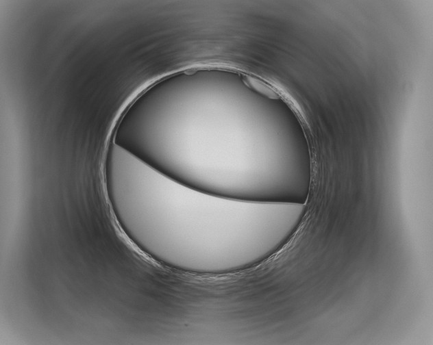 X0000113581100200909181014
