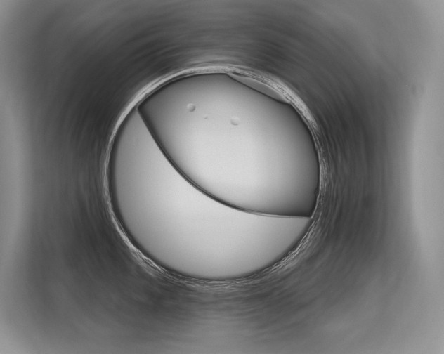 X0000113581101200909181014