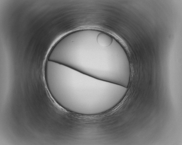 X0000113581102200909181014