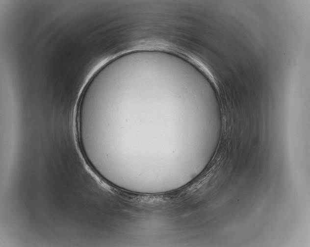X0000113581103200909181014