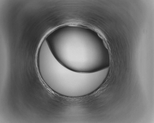X0000113581104200909181014