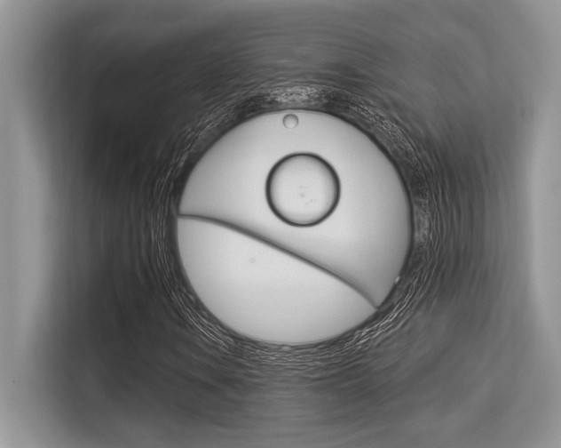 X0000113581106200909181014