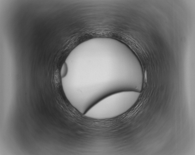 X0000113581107200909181014